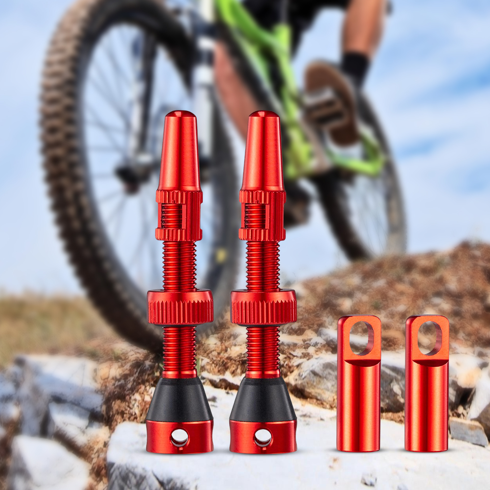 1 Pair Ultralight Gravel MTB B - Tubeless Valve Core 评论和价格